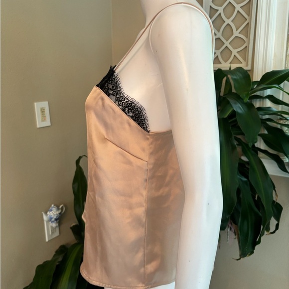 Elegant Tan Lace Trim Cami Top - Picture 2 of 6